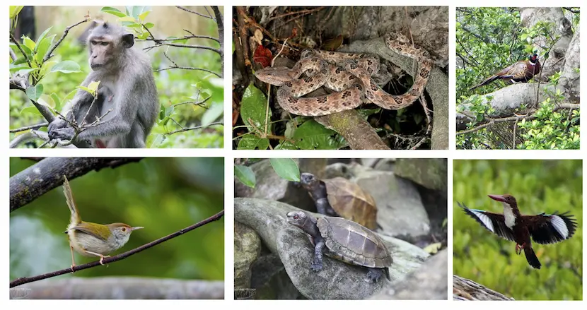parco nazionale di bai tu long, baia di bai tu long, destinazione bai tu long, viaggio in crociera a bai tu long
