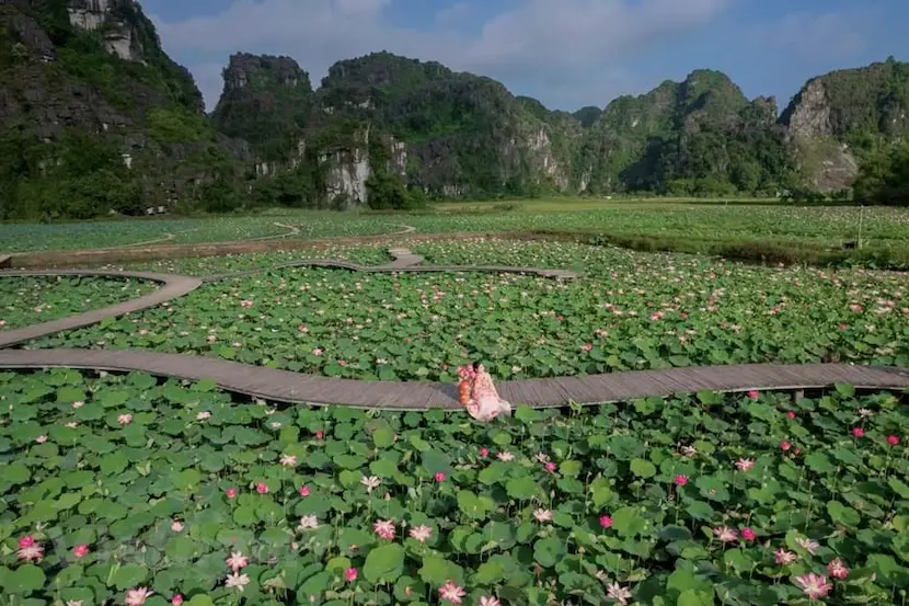periodo migliore per visitare ninh binh, autunno a ninh binh, stagione migliore per visitare ninh binh