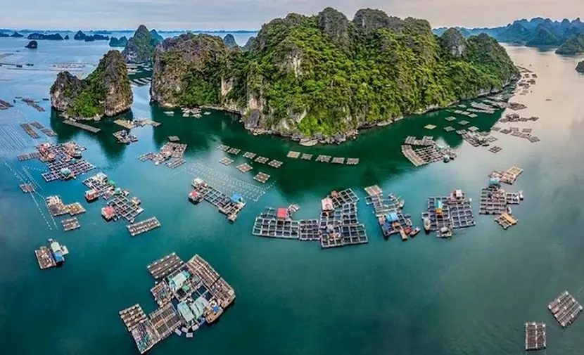 villaggio di pescatori di vung vieng, destinazione baia di bai tu long, viaggio a bai tu long