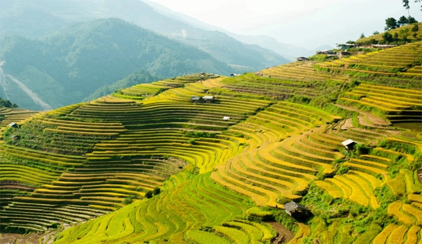 Northern Vietnam Tours